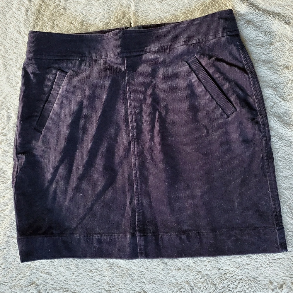 LOFT skirt